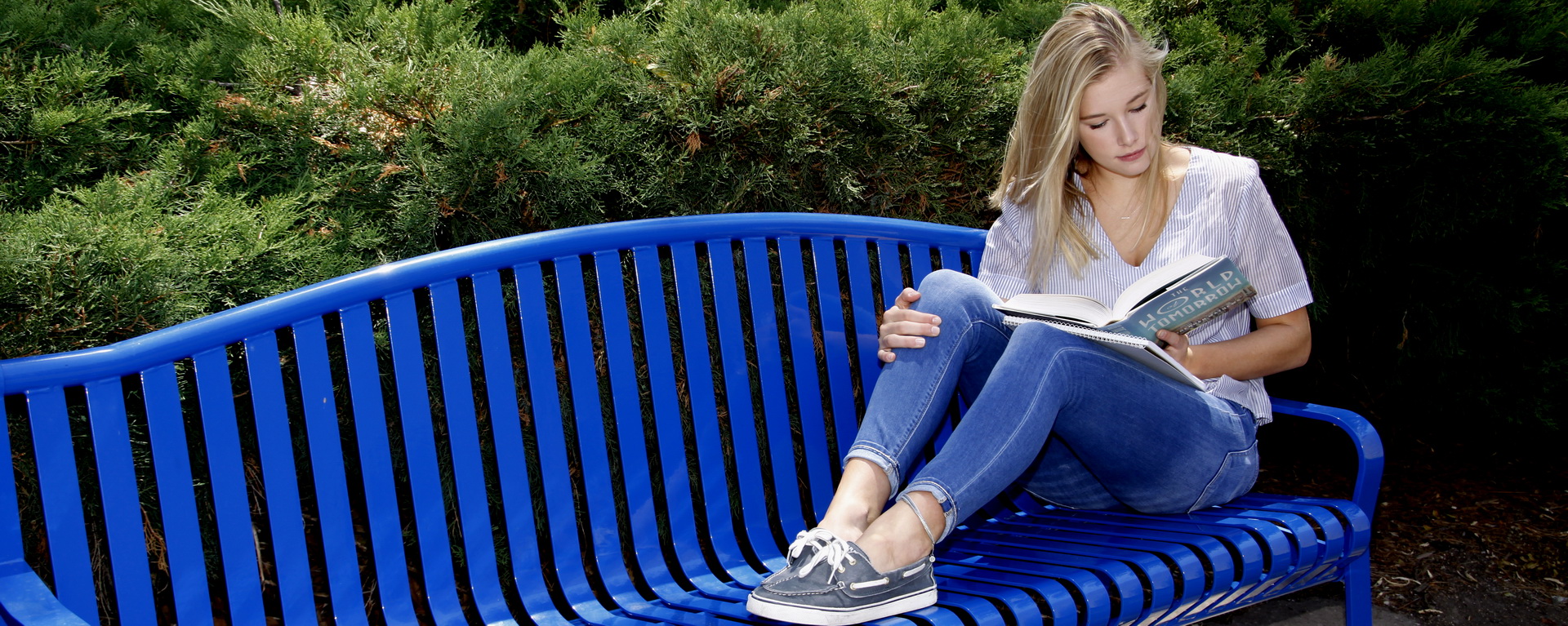 Student reading on a blue bench