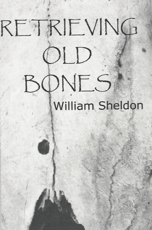 Cover of Retrieving Old Bones