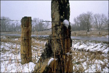 Snow on the Kansas Prairie