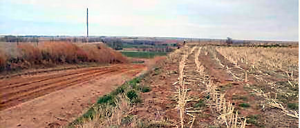 Comanche County, Kansas