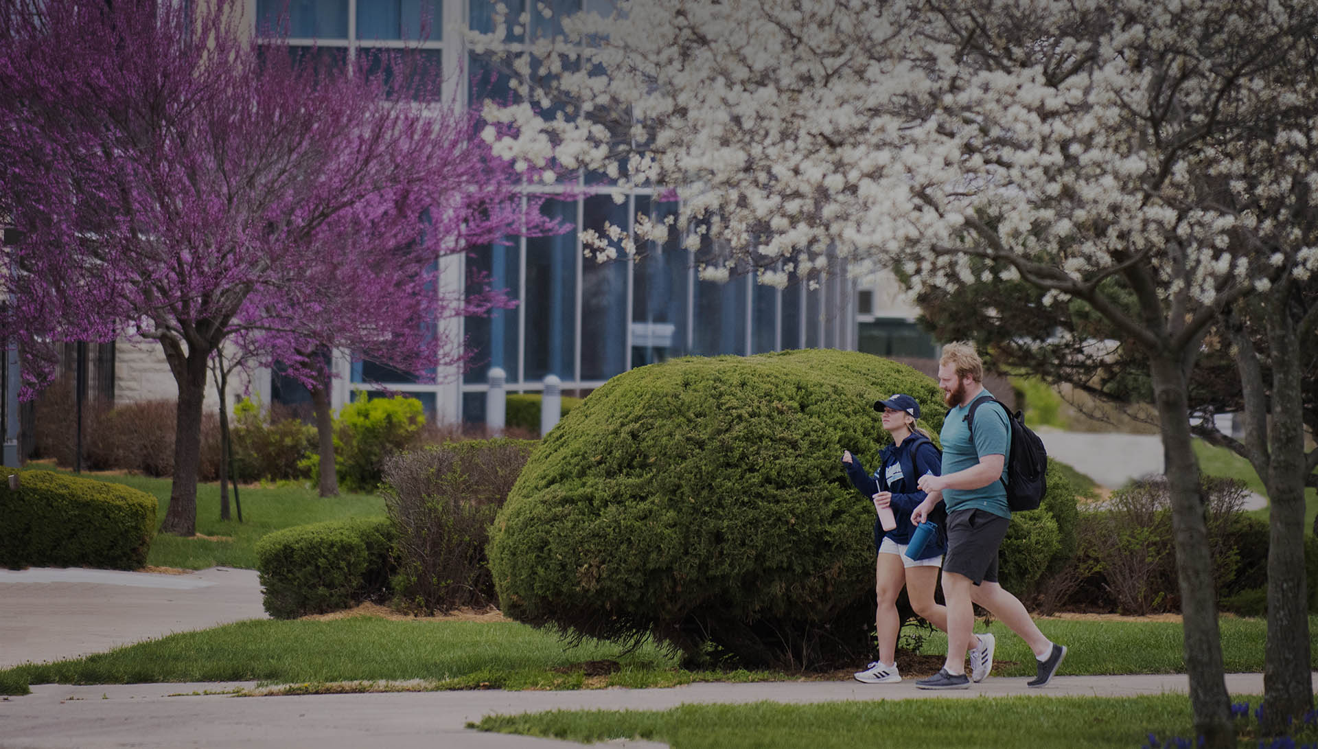 Two students walk to class with trees blooming behind them.
