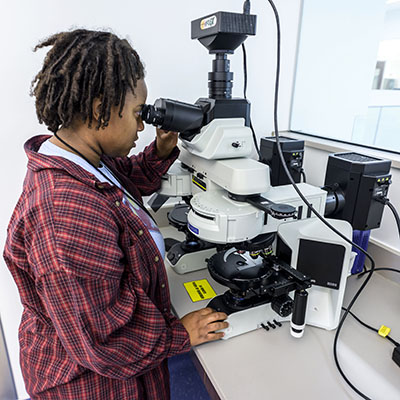 A student looks through a microscope in the KBI Forensic Lab