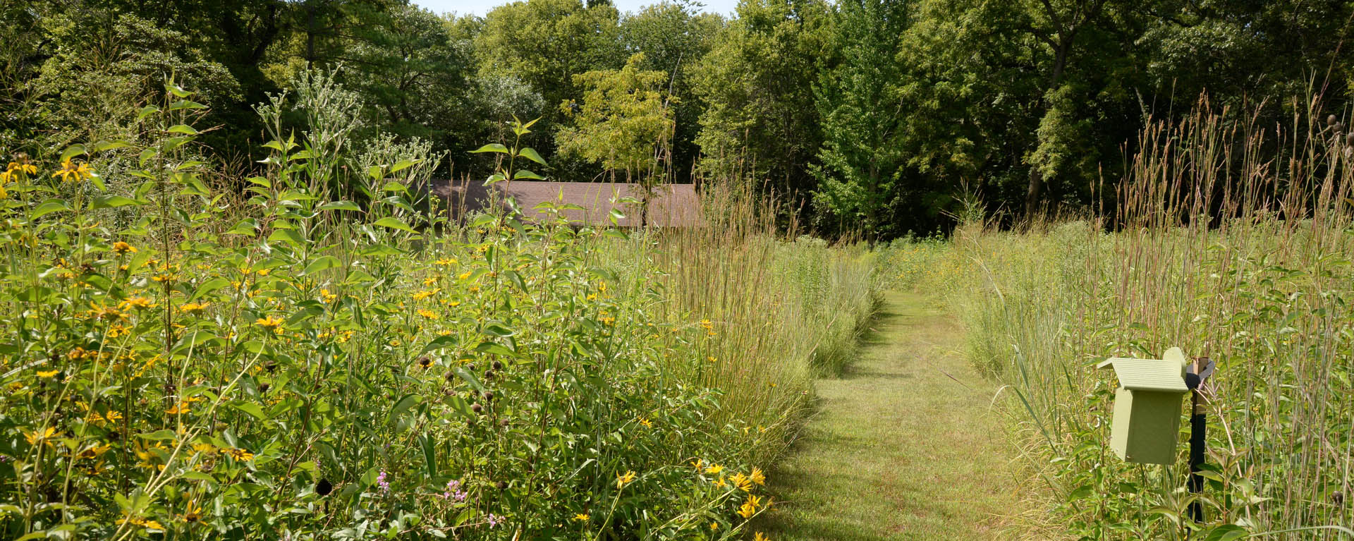 Karlyle Woods is a biology research area part of Washburn's campus in Topeka.