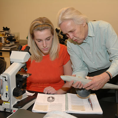 Faculty helping a student looking at fossils