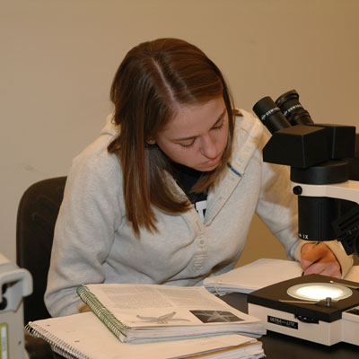 Student doing work with a microscope
