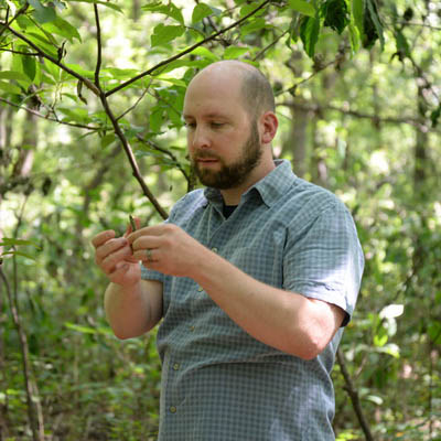 A biology professor examines a grass while researching in the field.