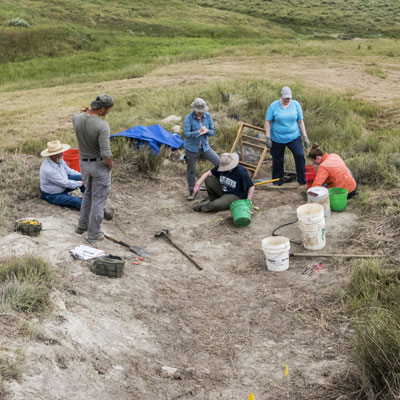 Anthropology students work at a field dig site.