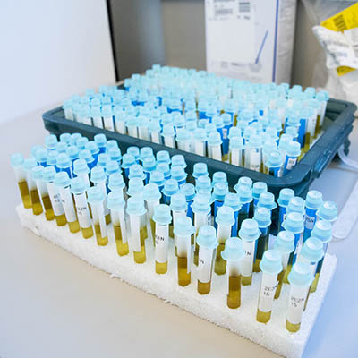 Test tubes in KBI forensics lab