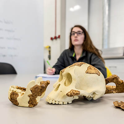 A student takes notes in class with a skull on the desk