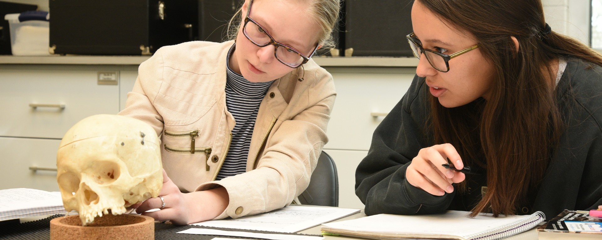 Two forensic anthropology students examining skull