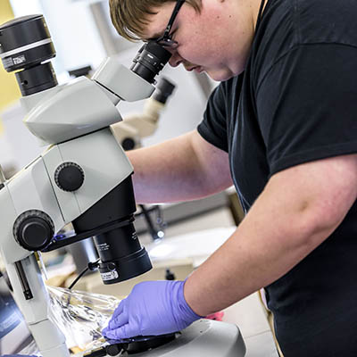 A student wearing gloves adjusts a sample under a microscope.