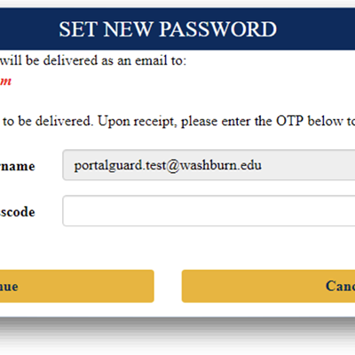 Screenshot of One Time Passcode field with the instructions One time passcode (OTP) will be delivered as an email to x@gmail.com. It could take 10 to 15 seconds to be delivered. Upon receipt, please enter the OTP below to continue.