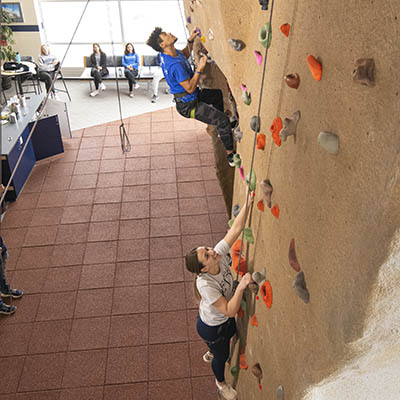 Rock Climbing Wall page