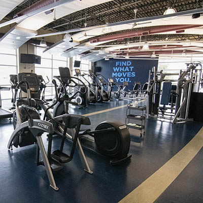 Rows of ellipticals and treadmills in front of large windows.