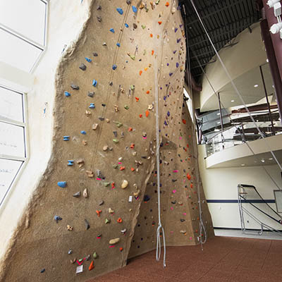 Ropes hang in front of a rock climbing wall.