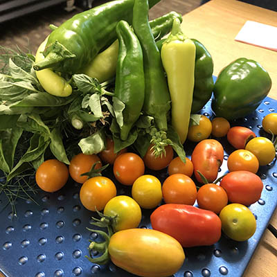 Fresh produce piled on a scale.