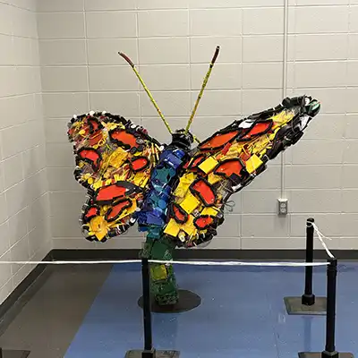 monarch butterfly on a plant