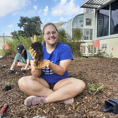 A student holds up a bare root plant in the garden.
