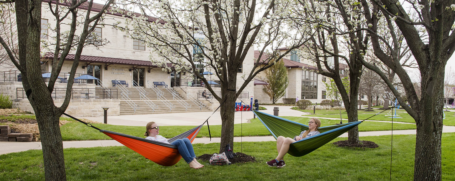 Two students smile and chat while sitting in hammocks with trees blooming above.