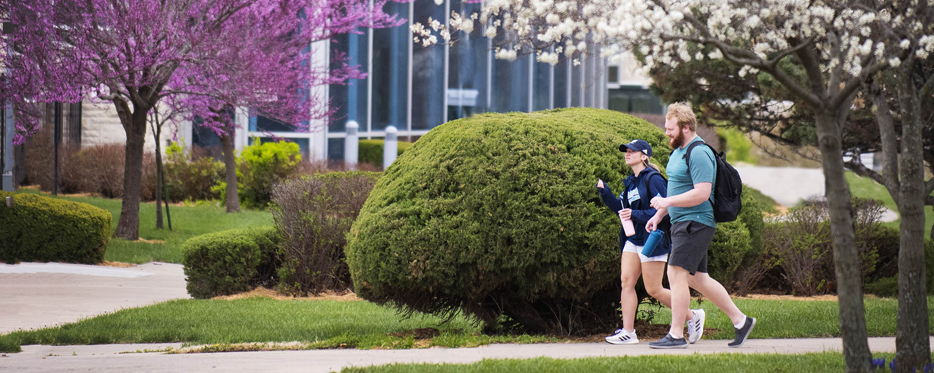 Blooming trees line a sidewalk as two students walk to class.