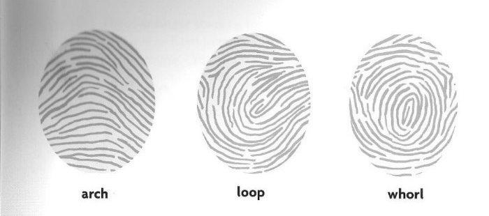 Thumbprint-types.jpg