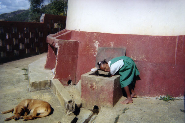 Girl and dog