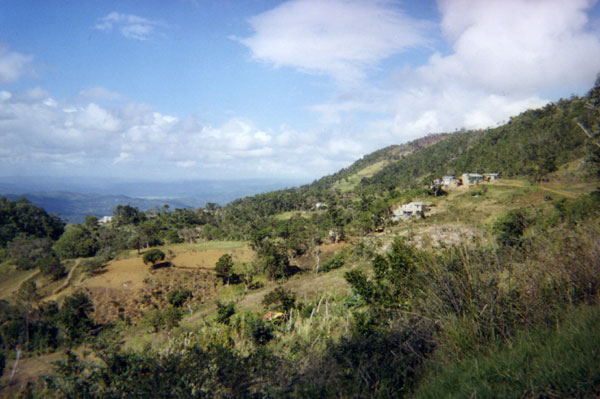 Mountain