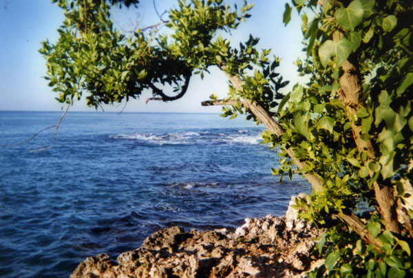 Sea