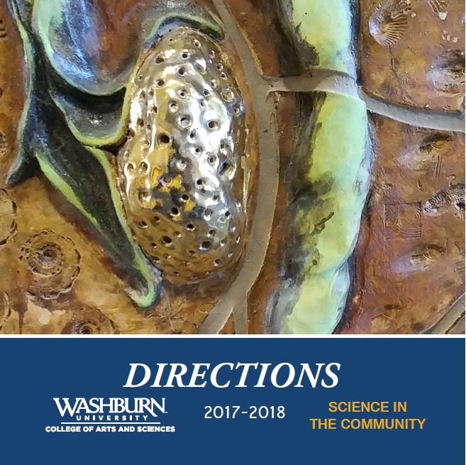 Sculpture with brow, green, and matalic colors. Links to 2017-18 Directions PDF.