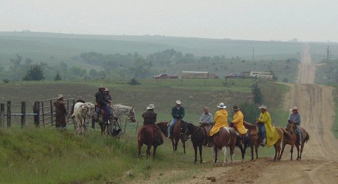 On the trail. A trial run, driving cattle celebrating the thirtieth anniversary of THE LAST CATTLE DRIVE.