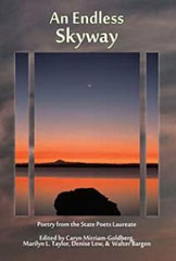 An Endless Skyway book cover