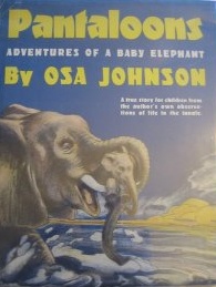 Pantaloons; Adventures of a Baby Elephant