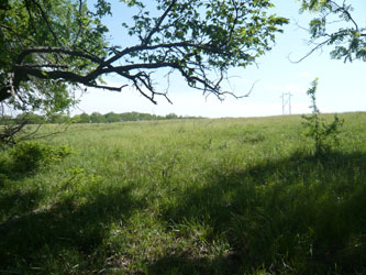 Stout farm site by Wakarusa 2012